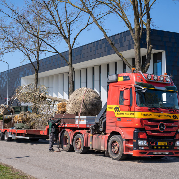 Transporting, loading and unloading trees