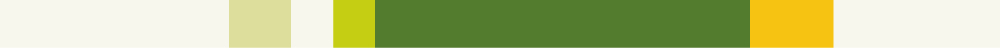 Betula pendula 'Zwitsers Glorie' seizoenskleur