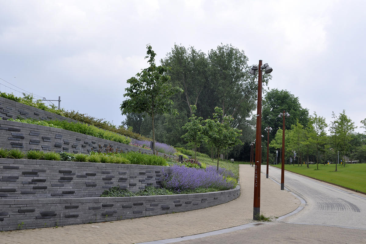 Station Groningen Europapark Bomen voor groenprojecten