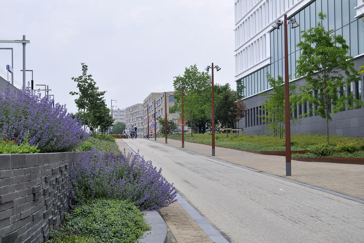 Station Groningen Europapark Bomen voor groenprojecten