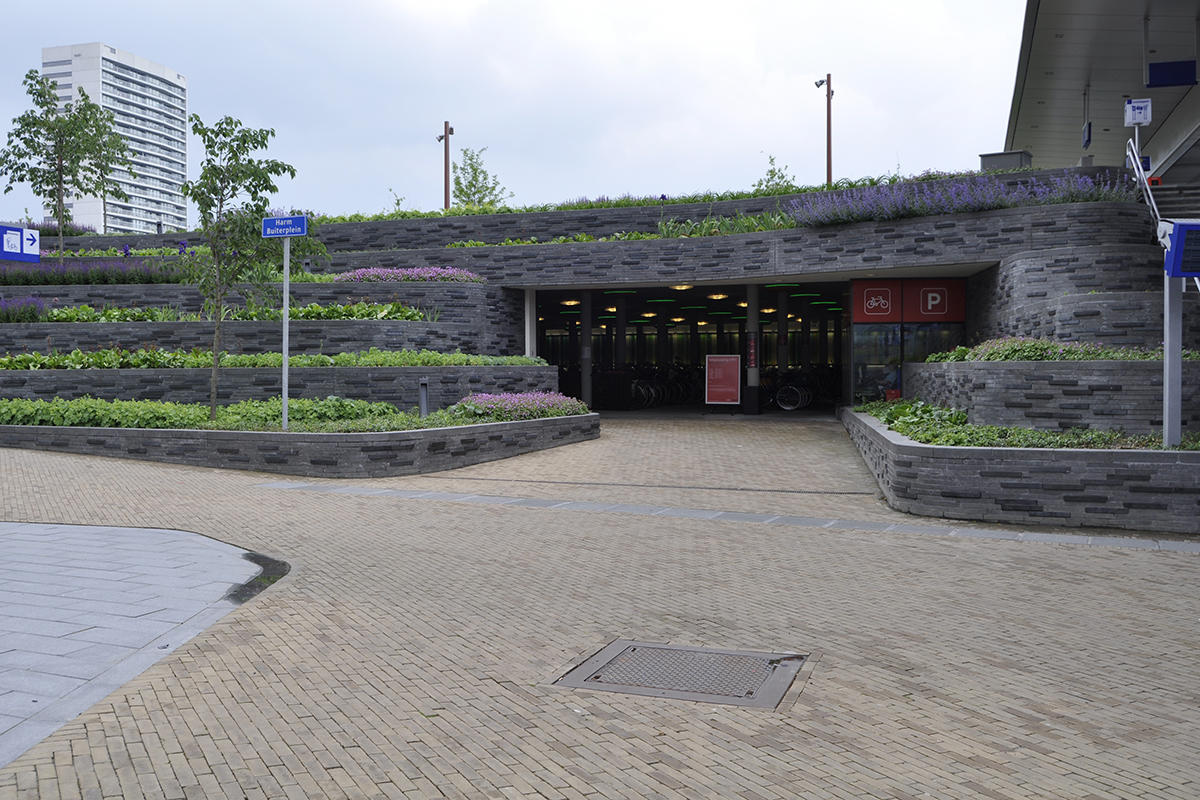 Station Groningen Europapark Bomen voor groenprojecten