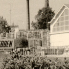 1951