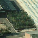 1988