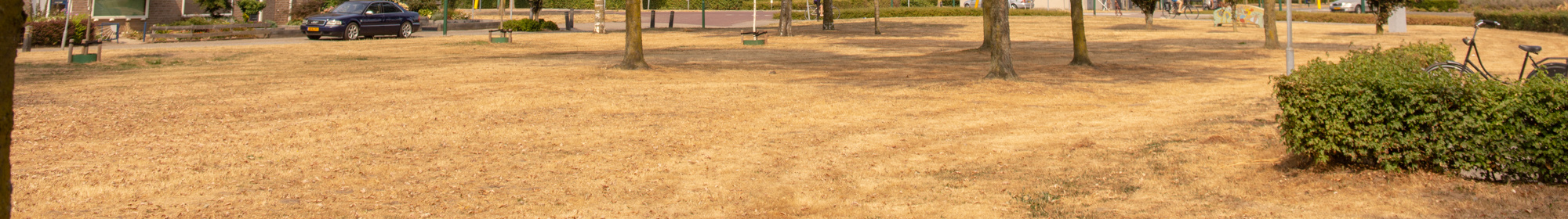 Kennisbank: Weersinvloeden 