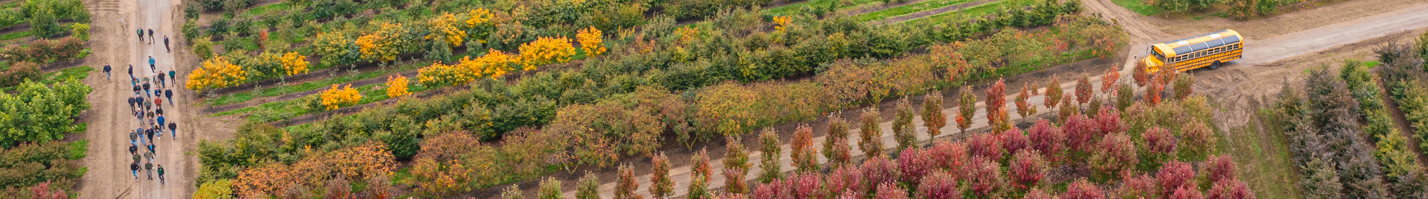 Kennisbank: Kwekerijbezoek