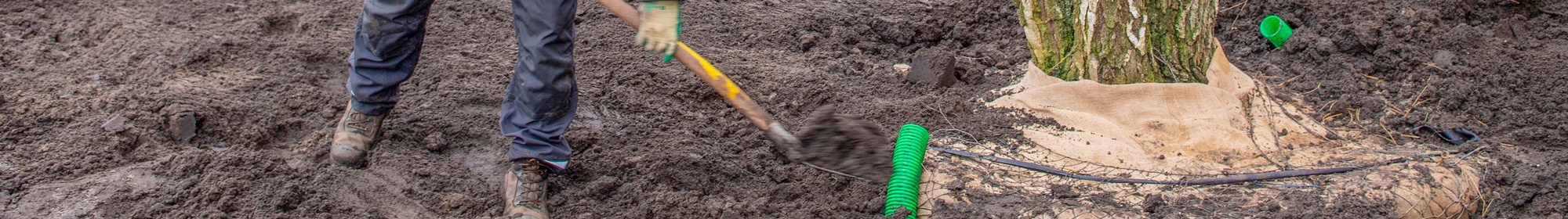 Kennisbank: De eerste jaren na aanplant