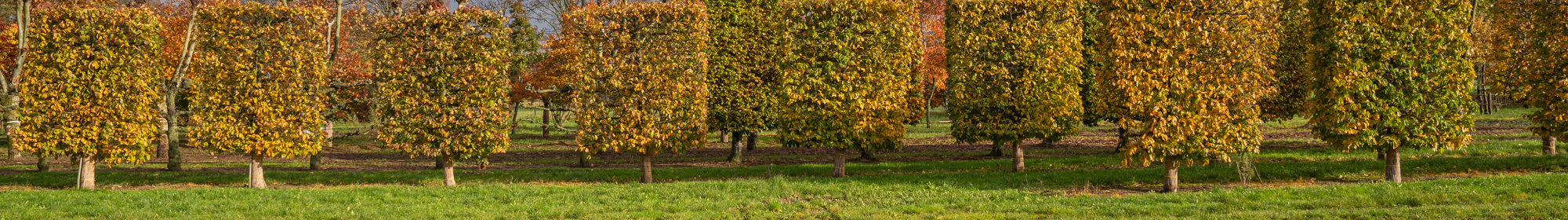 Kennisbank: Kwekerijbezoek