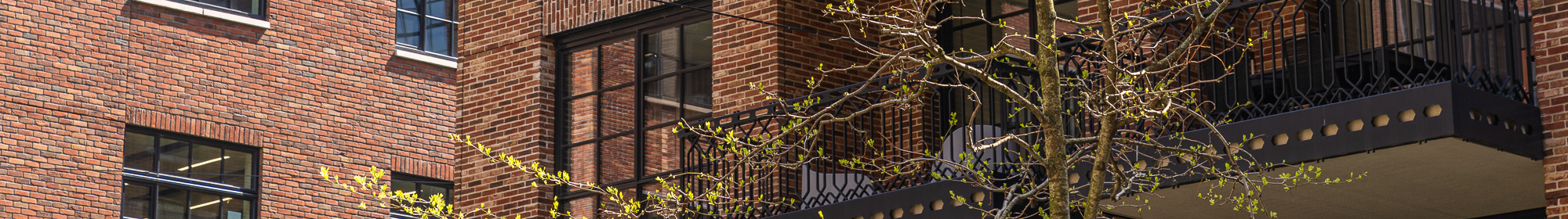 Klimaatadaptatie & Biodiversiteit