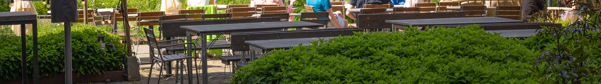 Kennisbank: Leefomgeving 