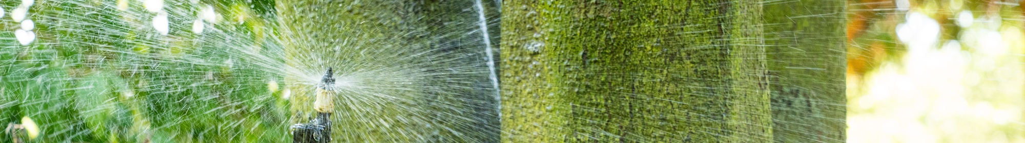 Kennisbank: Watergeven aan recente aanplant