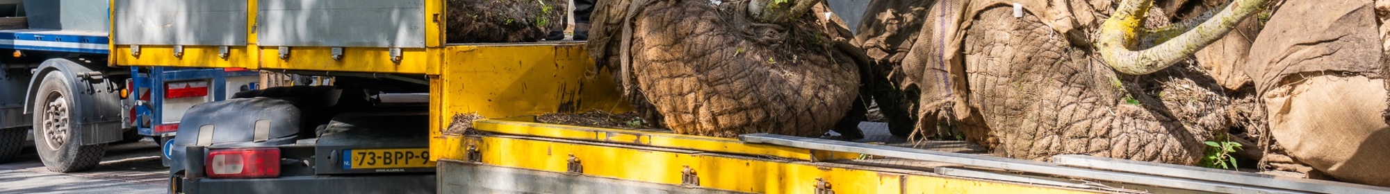 Kennisbank: Bomen transporteren en lossen