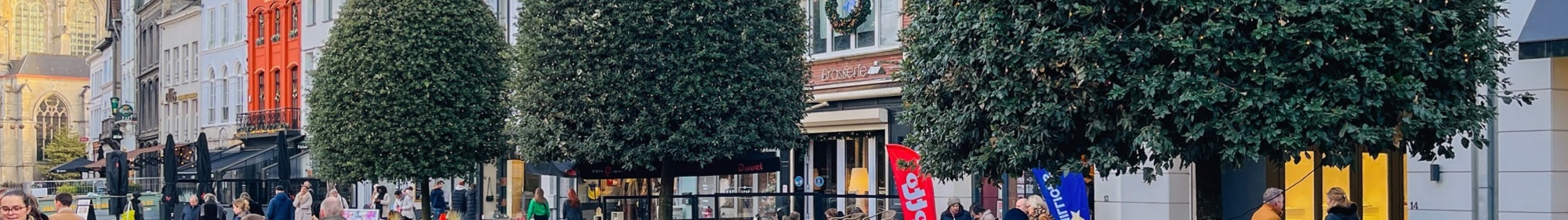 Kennisbank: Groenblijvende- en bladhoudende bomen