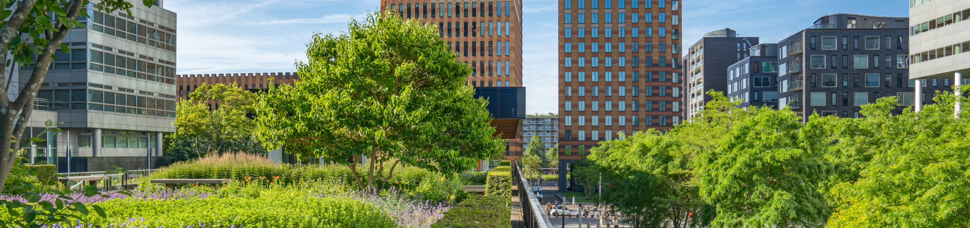 Roof garden, CIRCL, Amsterdam, Netherlands