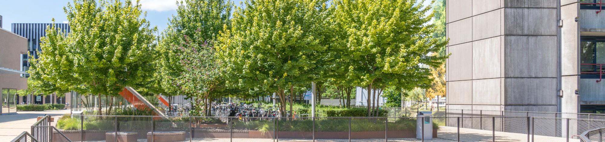 Roof garden, Erasmus University, Rotterdam, Netherlands