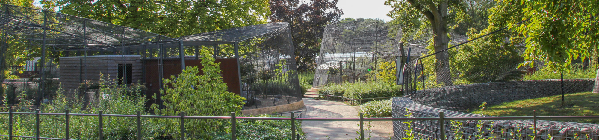 Dierenpark, Provinciedomein Huizingen, België