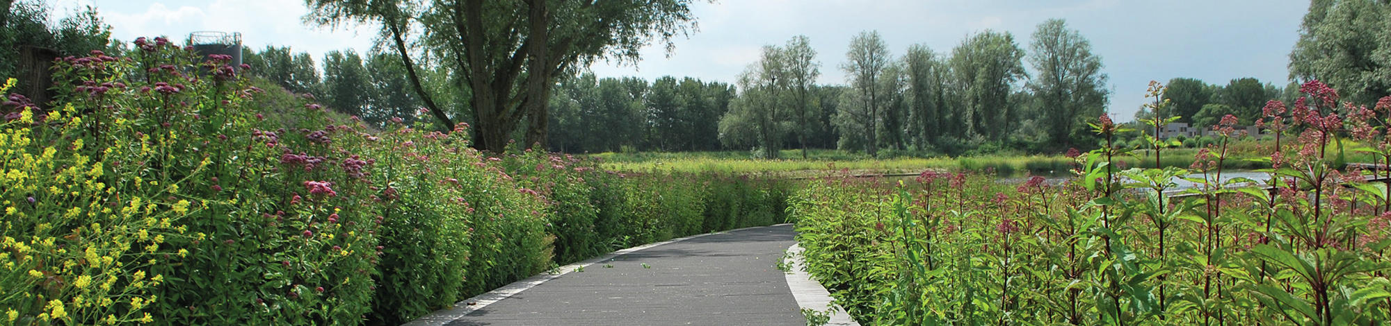 Bijlmerpark, Amsterdam, The Netherlands