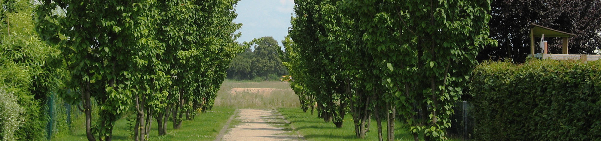Chapel of the Cross green corridor Kempen
