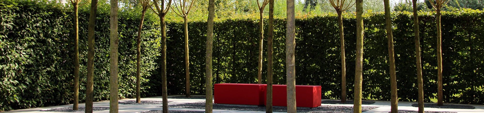 Street Tree Forest, Appeltern, Netherlands