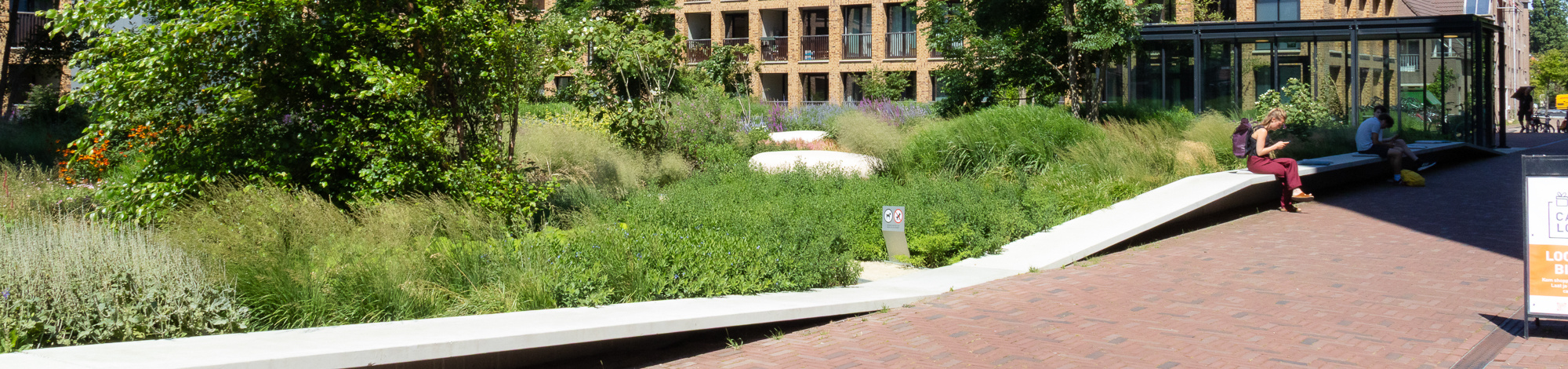 De Meelfabriek, Leiden