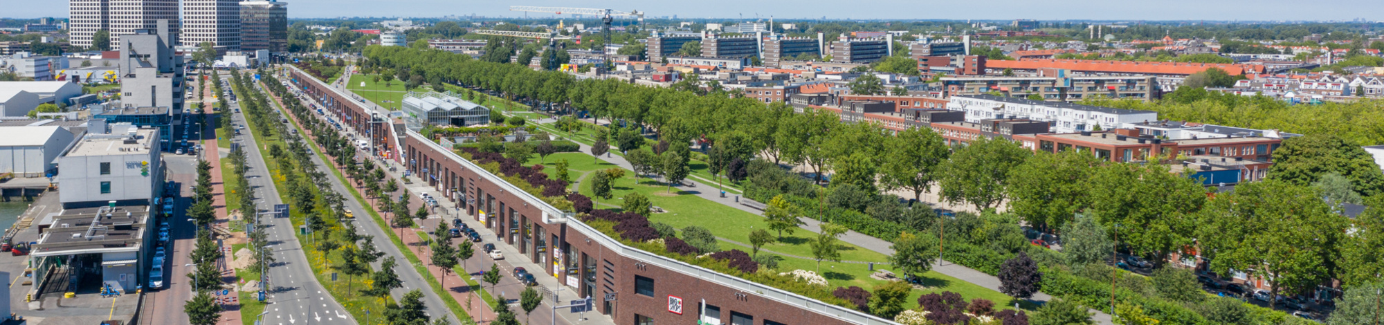 Vierhavensstrip rooftop park Rotterdam