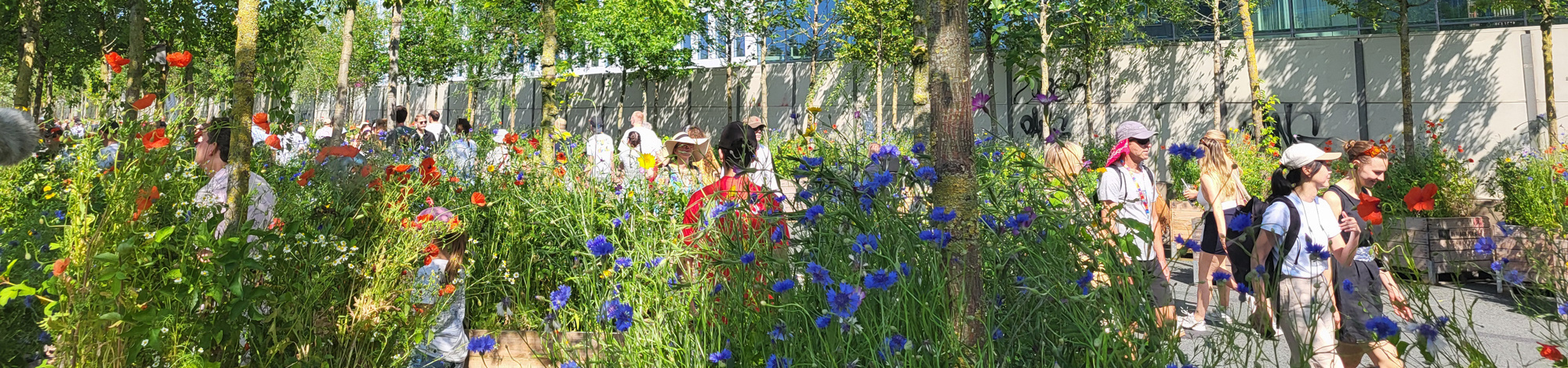 Forest on the A10 ring road - 750 years of Amsterdam