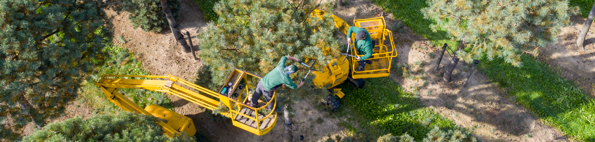 Werk mee aan een groenere wereld!