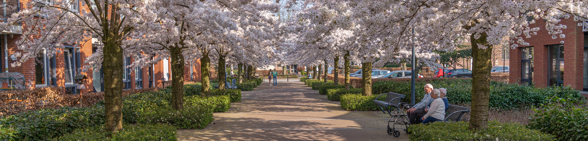 Projets dans les rues et avenues