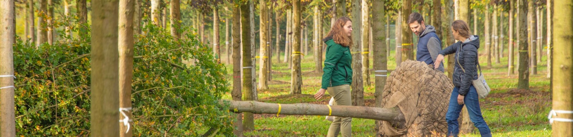 Werk mee aan een groene wereld