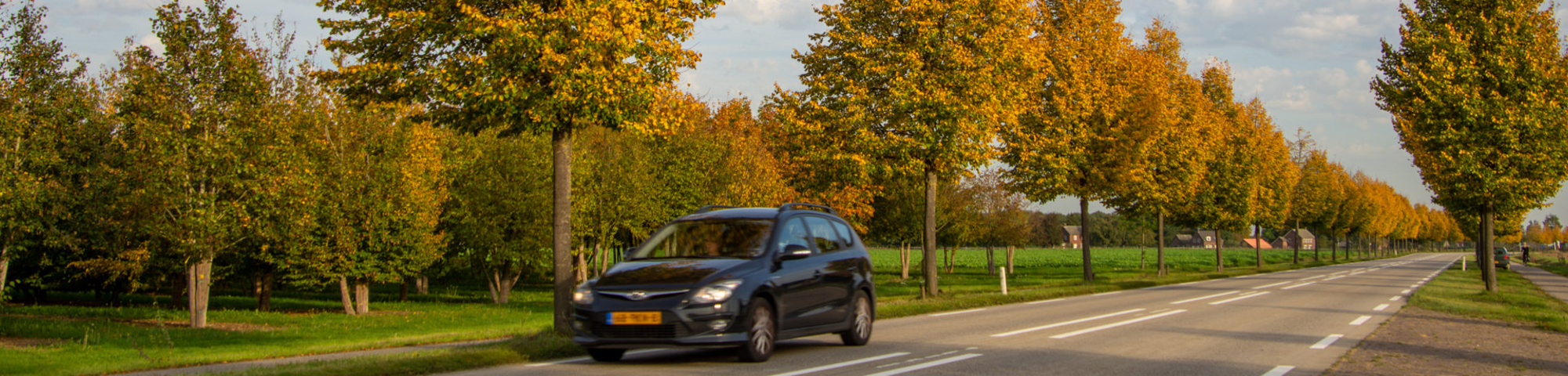 Lösungen für Straßen und Alleen