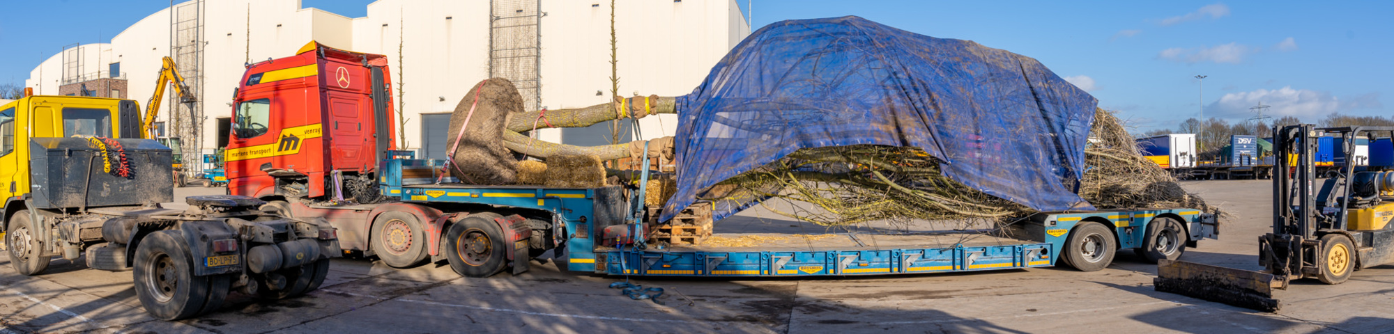 Bomen transporteren, laden en lossen