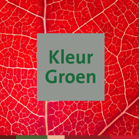 Kleur Groen NL