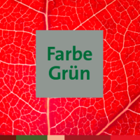 Farbe Grün