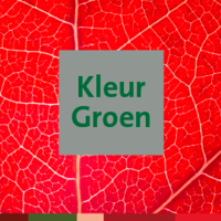 Kleur Groen NL