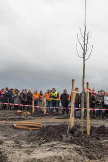 MH17 Monument Ebben planting trees-10