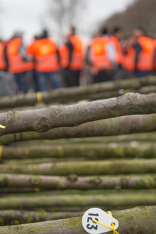 MH17 Monument Ebben planting trees-13