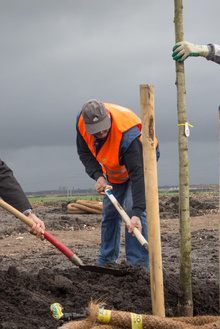 MH17 Monument Ebben planting trees-17