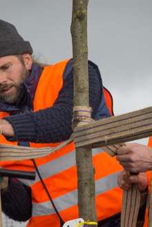 MH17 Monument Ebben planting trees-19