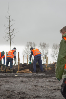 MH17 Monument Ebben planting trees-22