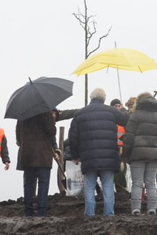 MH17 Monument Ebben planting trees-23