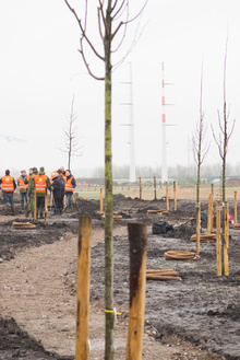 MH17 Monument Ebben planting trees-24