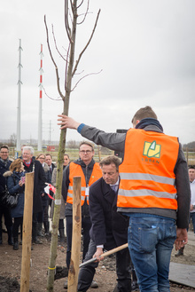 MH17 Monument Ebben planting trees-4