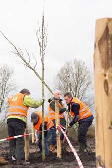 MH17 Monument Ebben planting trees-6