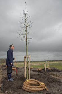 MH17 Monument Ebben planting trees-8