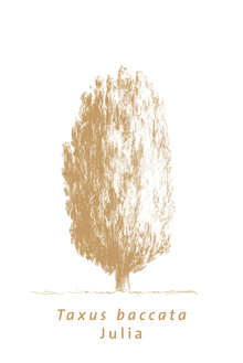 Sculptures-of-Nature11