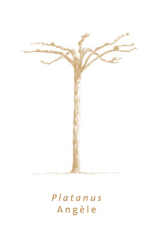 Sculptures-of-Nature24