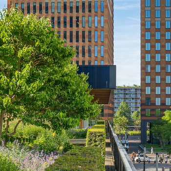 Roof garden Amsterdam CIRCL