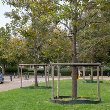 Blogs over 'Nazorg, de eerste jaren na aanplant'