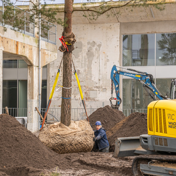 Blogs over 'Voorbereiding & Aanplant'