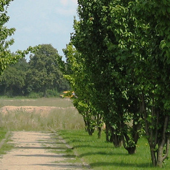 Korridor Kreuzkapelle, Kempen