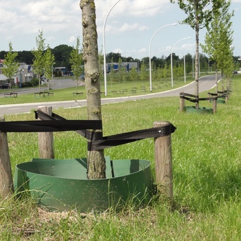 Nazorg, de eerste jaren na aanplant